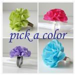 Silk Ring Pick A Color